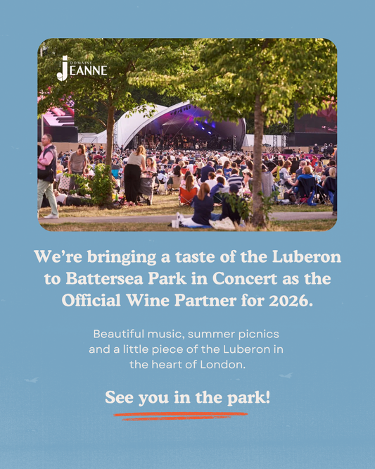 DDJ at Battersea Park in Concert
