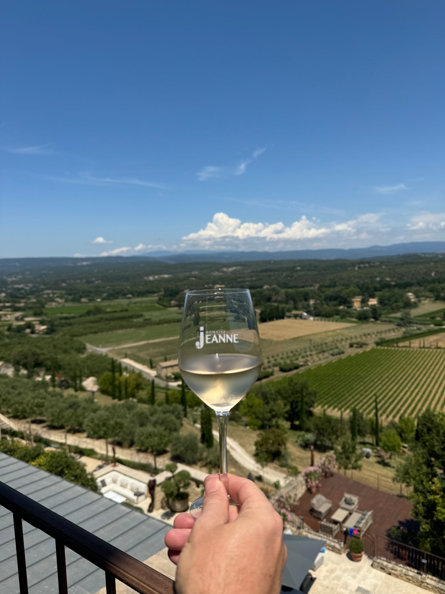 Domaine des Jeanne Wine Glasses - Set of 4 - Domaine Des Jeanne