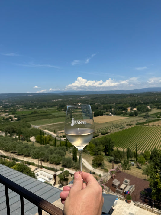 Domaine des Jeanne Wine Glasses - Set of 4 - Domaine Des Jeanne